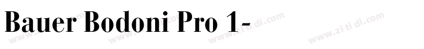 Bauer Bodoni Pro 1字体转换